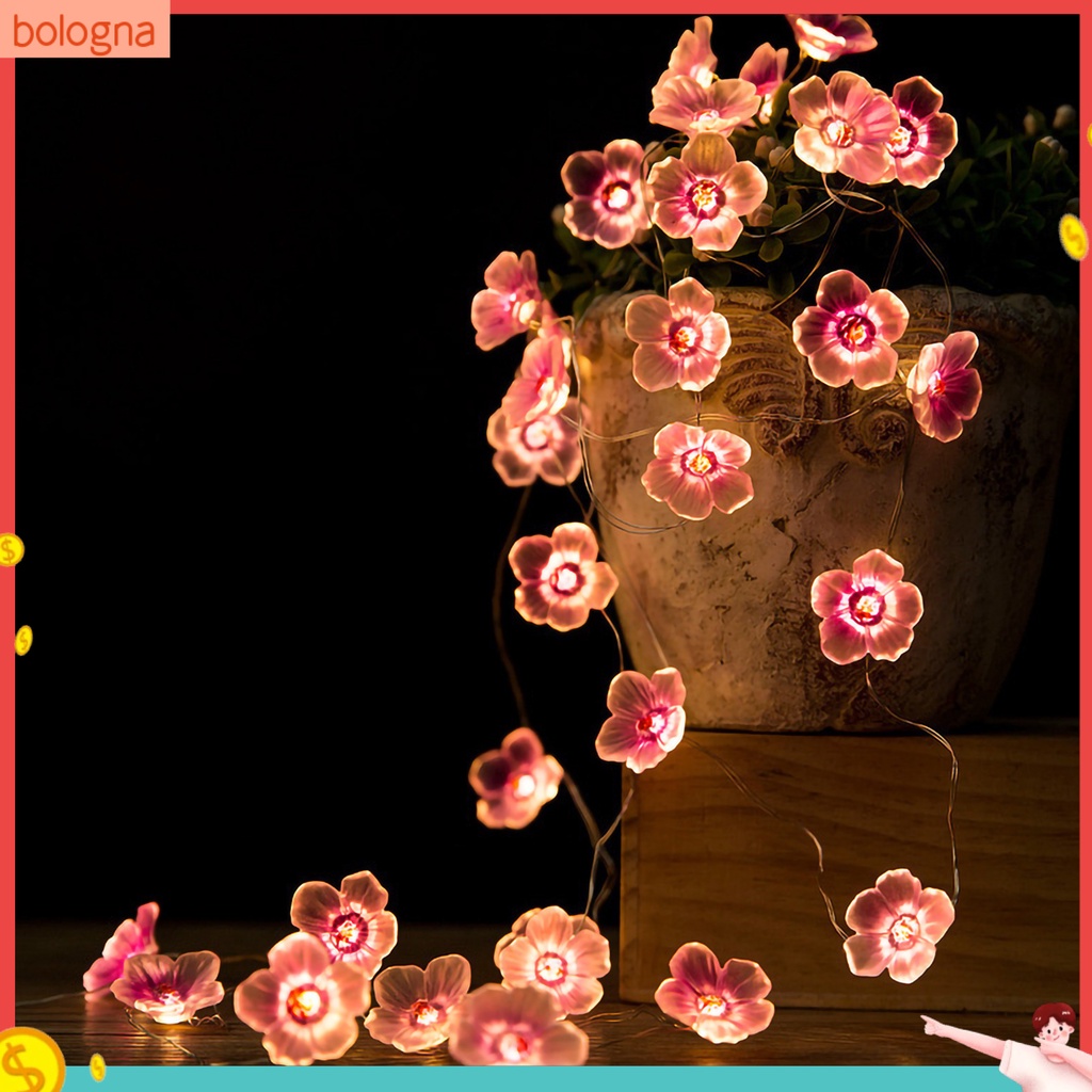 Dây Đèn LED Hình Hoa Anh Đào Trang Trí Trong Nhà Tiện Dụng