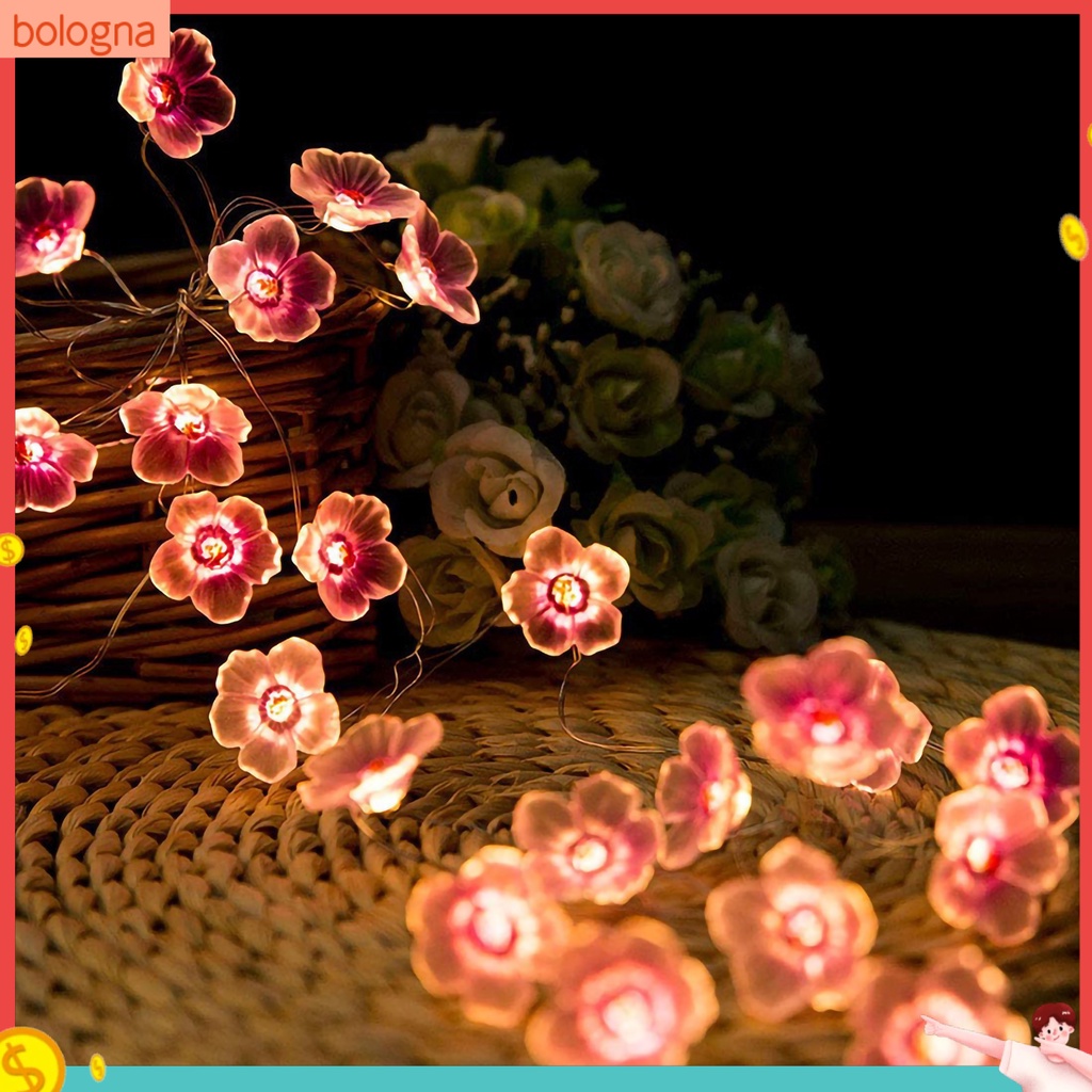 Dây Đèn LED Hình Hoa Anh Đào Trang Trí Trong Nhà Tiện Dụng