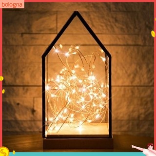 (Bologna) Bộ 2 Đèn Led Dây Trang Trí Xinh Xắn