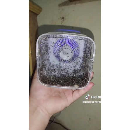 Đèn Bắt Muỗi, Máy Thu Hút Côn Trùng Bay, Máy Bắt Muỗi Cao Cấp Công Nghệ Đèn LED Dùng Nguồn USB