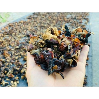 GIÁ HỦY DIỆT. Mộc nhĩ rừng Lai Châu( Nấm mèo)