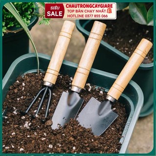 Bộ Dụng Cụ Làm Vườn - Bộ Cuốc Xẻng Mini 3 Món Tiện Dụng Xinh Xắn cán gỗ, trồng sen đá xương rồng