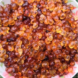 Lệ đào Vân Nam thượng hạng