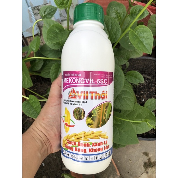 Anvil Thai 1000ml