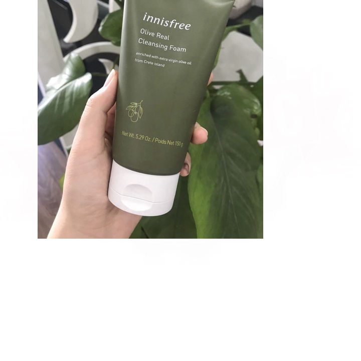 (SALE2023) Sữa rửa mặt Olive Innisfree