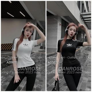 Áo thun nữ Adidas thun zip dáng ôm ,áo phông kiểu sọc viền in chữ siêu đẹp BEBEDOLL