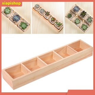 XIAPI+ Khay gỗ trồng cây bonsai chia nhiều ngăn tiện lợi