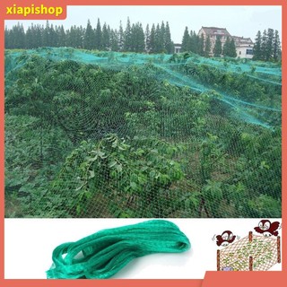 XIAPI+ Lưới trồng cây chống chim