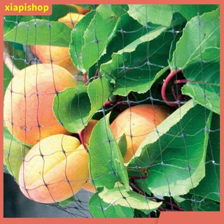 XIAPI+ Lưới trồng cây chống chim