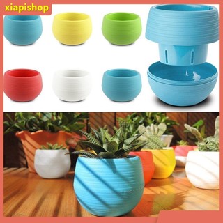 XIAPI+ Chậu nhựa trồng cây mọng nước để bàn tiện lợi