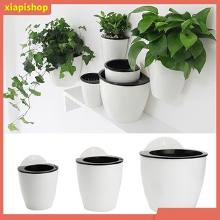 XIAPI+ Chậu đựng cây hoa treo tường sáng tạo