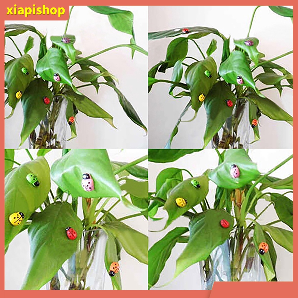 XIAPI+ Bộ 100 bọ rùa 3D nhỏ xinh nhiều màu sắc cho bé tự trang trí nhà cửa