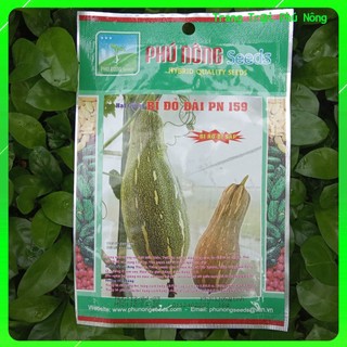 Hạt giống bí đỏ dài pn 159 phú nông - gói 10g - bí rợ - bí sáp