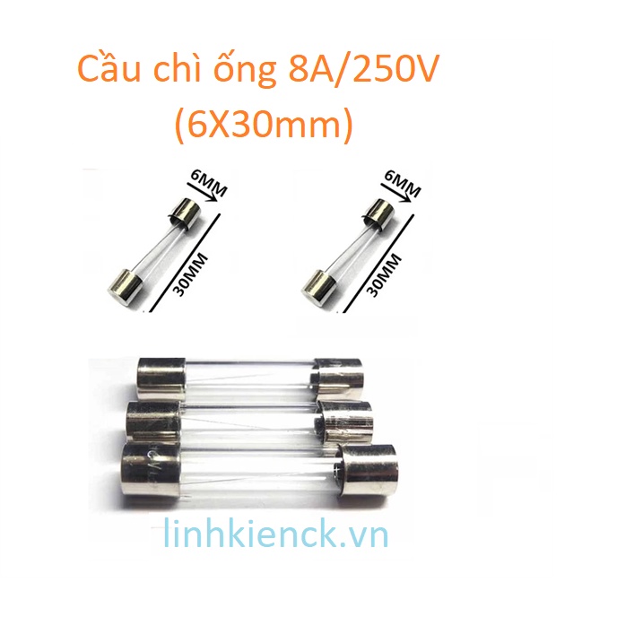 (5 Cái) Cầu chì ống 8A/250V (6X30mm)
