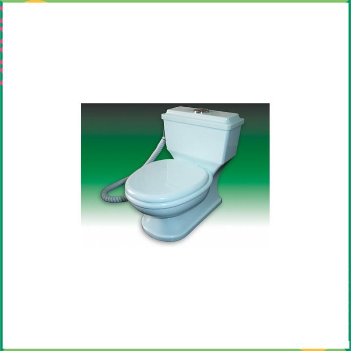 ĐIỆN THOẠI KIỂU, ĐIỆN THOẠI ĐỂ BÀN HÌNH TOILET FF-162