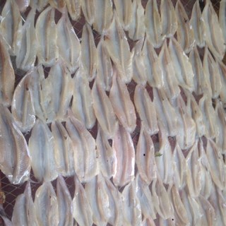 Cá mối biển phanh/ 500g/hoả tốc/hà nội