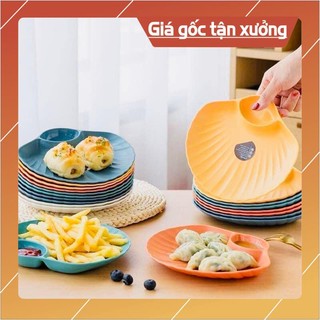 Đĩa sò để bàn decor bắt mắt - shop lemarsx