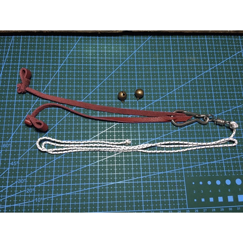 Dây chân chim săn mồi shika