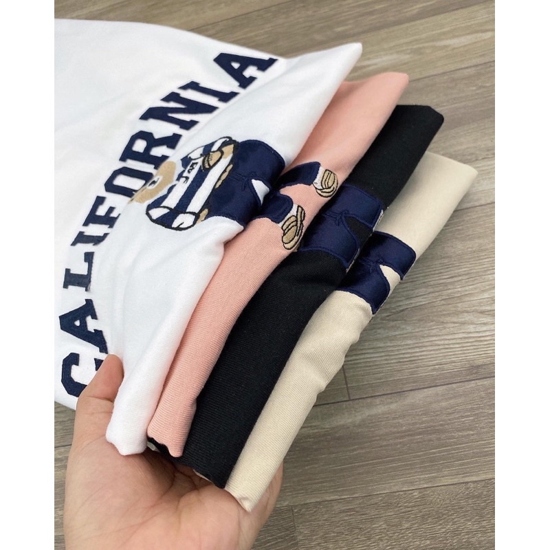 Áo thun Gấu thời trang cotton 100 %.