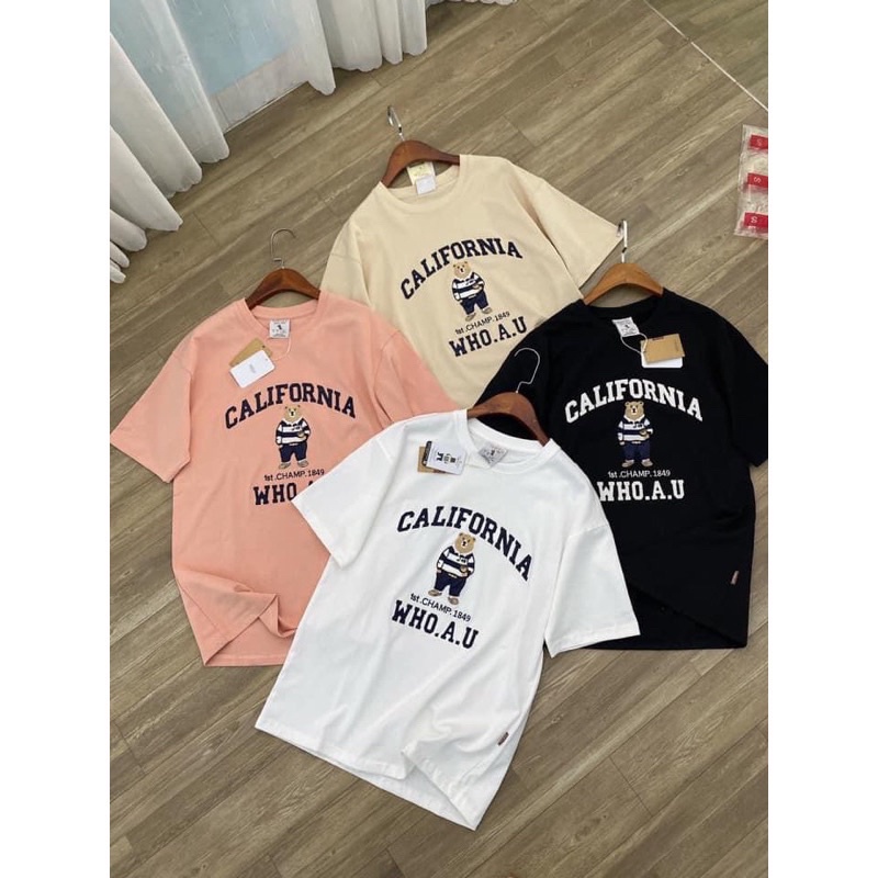 Áo thun Gấu thời trang cotton 100 %.