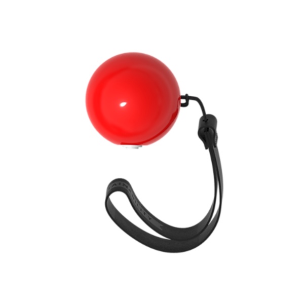 Ốp lưng Galaxy Buds phiên bản Pokemon