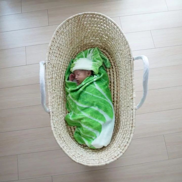 Chăn Họa Tiết Lá Cây Phong Cách Trung Quốc Vui Nhộn Cho Bé Tiểu Học