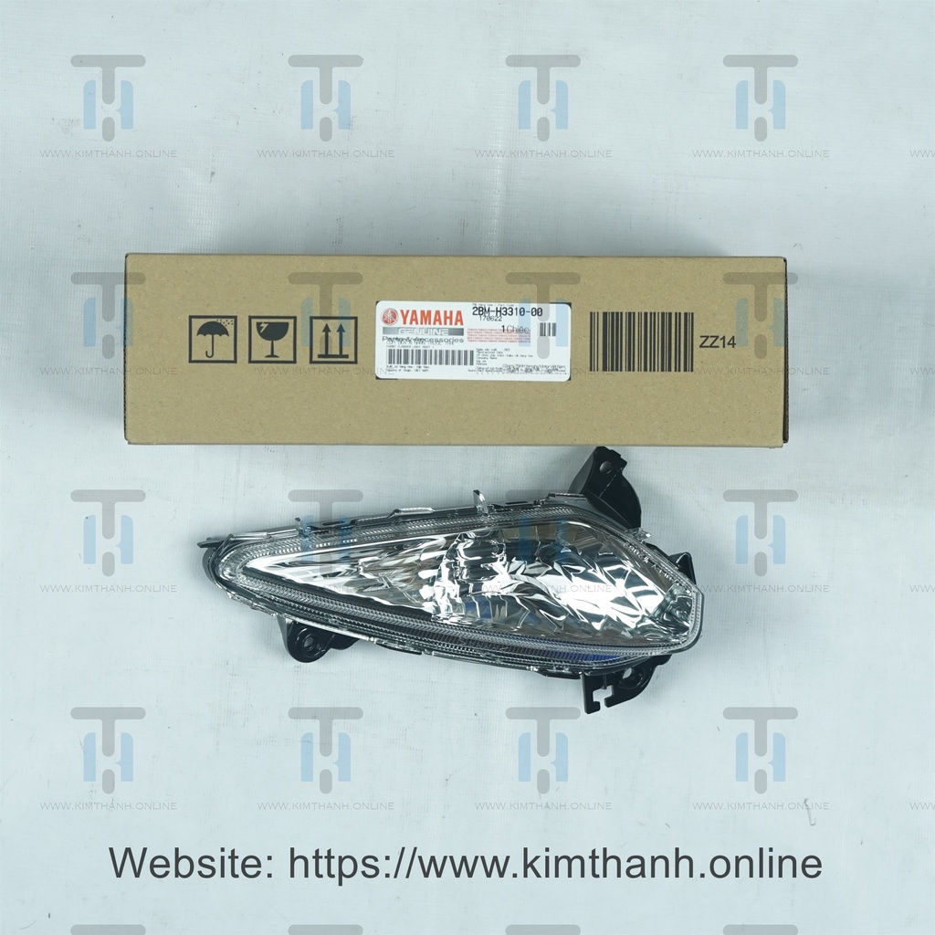 Xi nhan trước Grande Yamaha VN _ 2BMH33100000, 2BMH33200000
