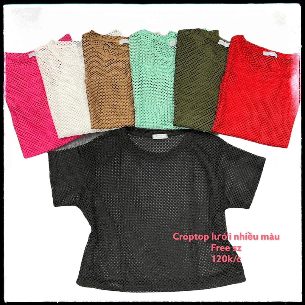 Croptop Tập Gym, Zumba, Thể Thao nữ, Áo Lưới Có Tay từ 45 - 57kg CRTL09
