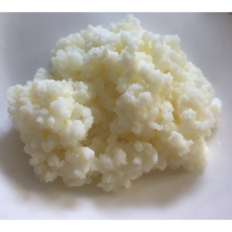 Nấm Kefir/ Nấm Tây Tạng