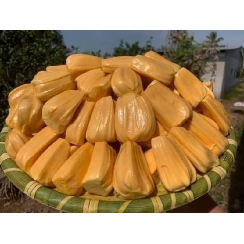 100g kẹo khóm mít dừa non