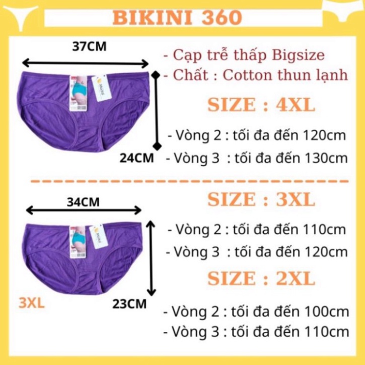 Quần lót nữ cotton thun lạnh bigsize đẹp Q8007 cạp trễ thấp from to cho người 60kg 70kg 80kg 90kg 100kg; bikini