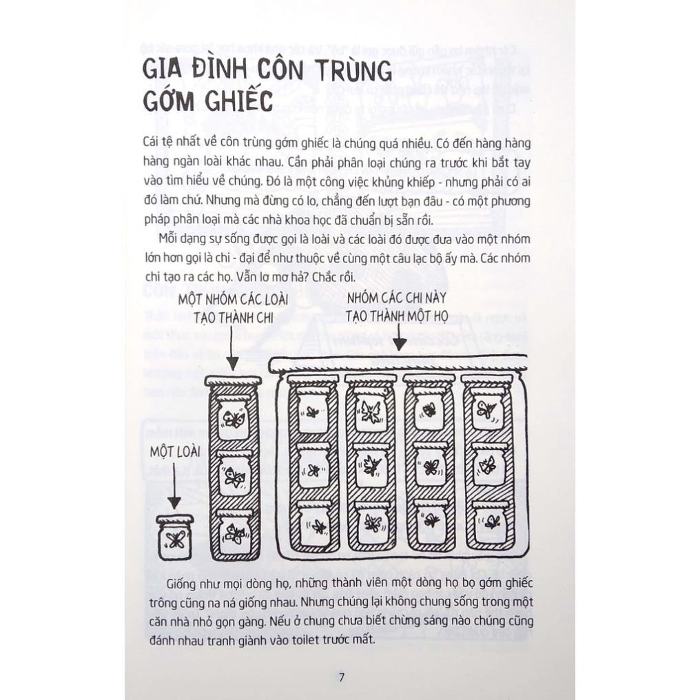 Sách - Côn Trùng Gớm Ghiếc - Horrible Science - NXB Trẻ