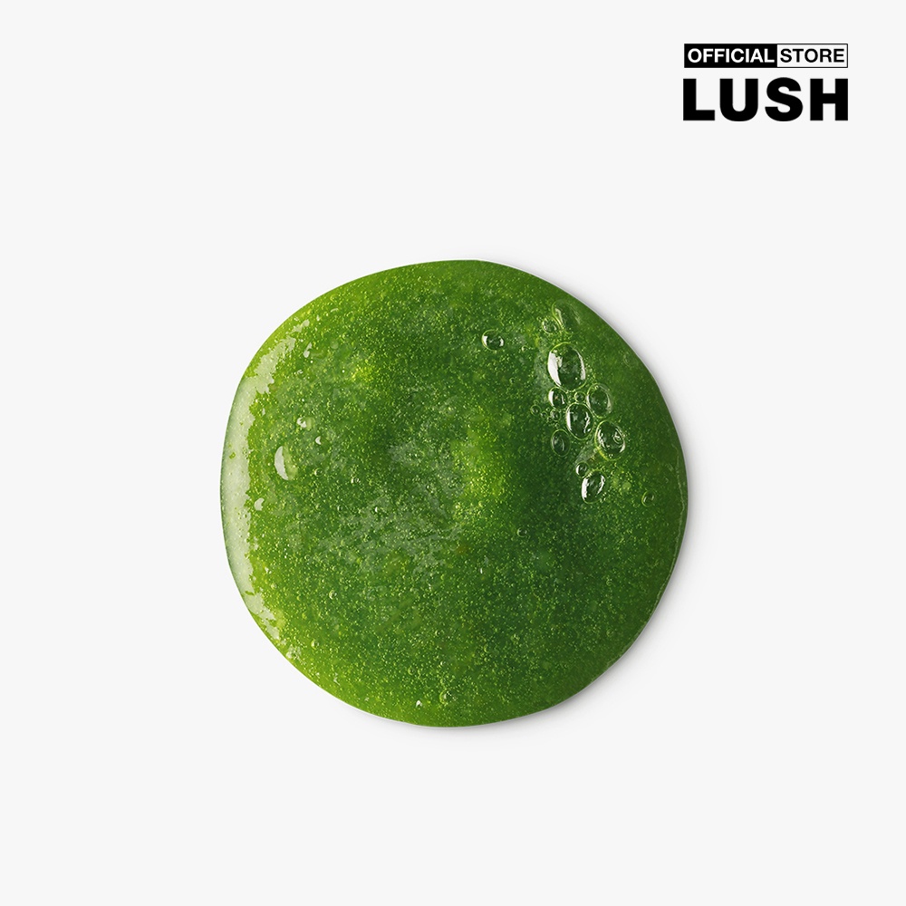 LUSH - Dầu gội Wasabi Shan Kui 5508BE034-00006