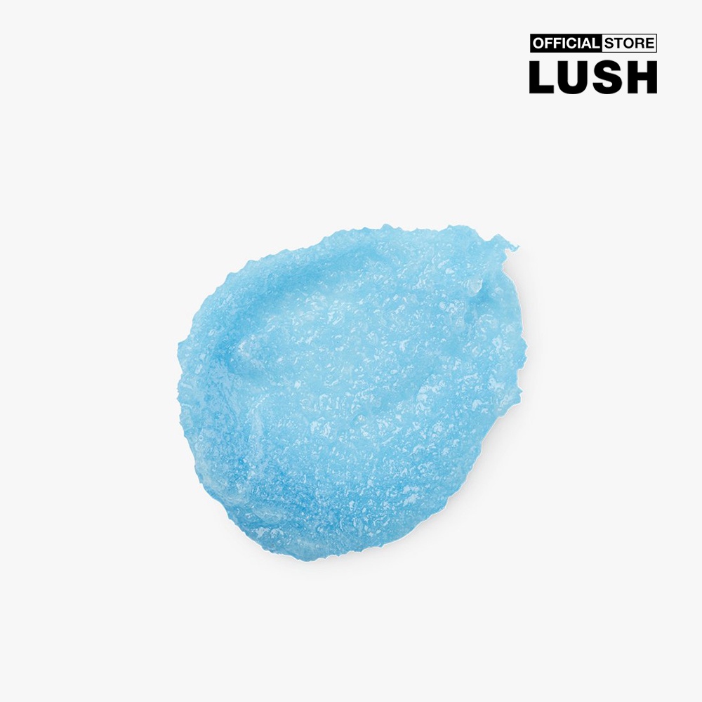 LUSH - Tẩy tế bào chết toàn thân Rub Rub Rub 5514BJ039-00004