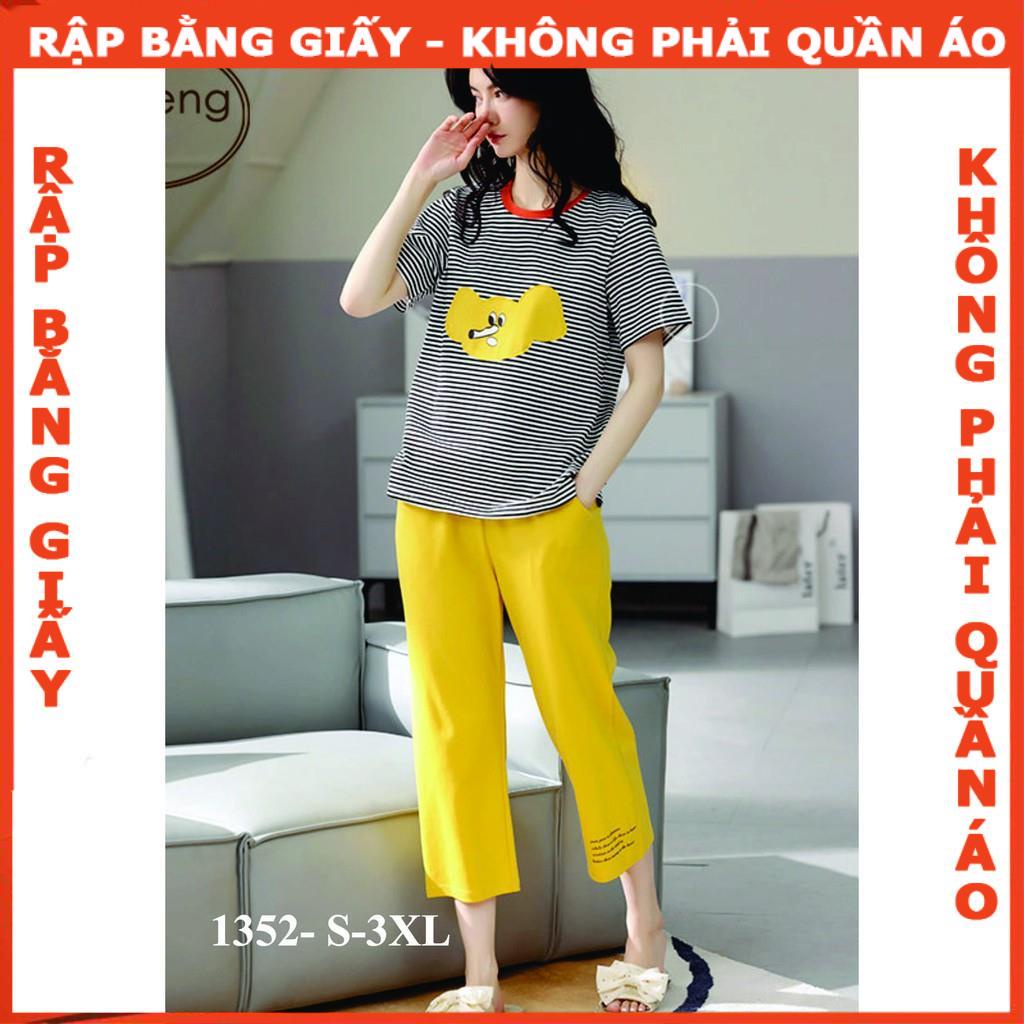 Rập giấy mã 1352 - rập bộ thun lửng