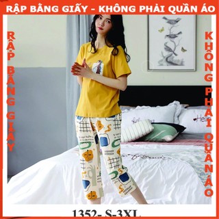 Rập giấy A0 mã 1352 - bộ thun lửng