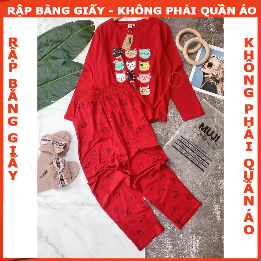 Rập giấy bộ thun tay dài mã 1391