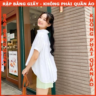 Rậpgiấy A0 may áo mã 1600