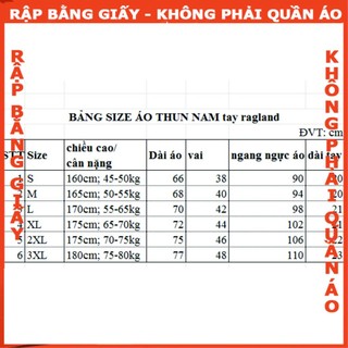 Rập giấy A0 mã B39 - Rập may áo thun