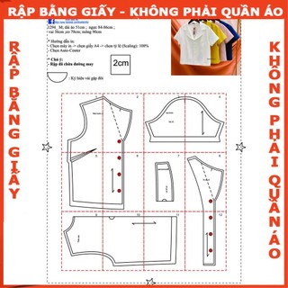 Rập áo cổ danton - Rập giấy mã 1294 ( bản vẽ) (BẢN VẼ)