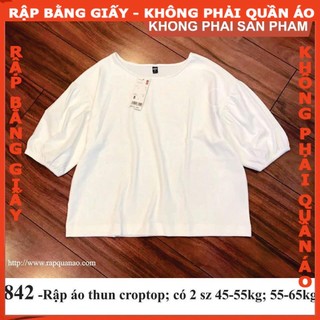 Rập mã 842Rập áo thun