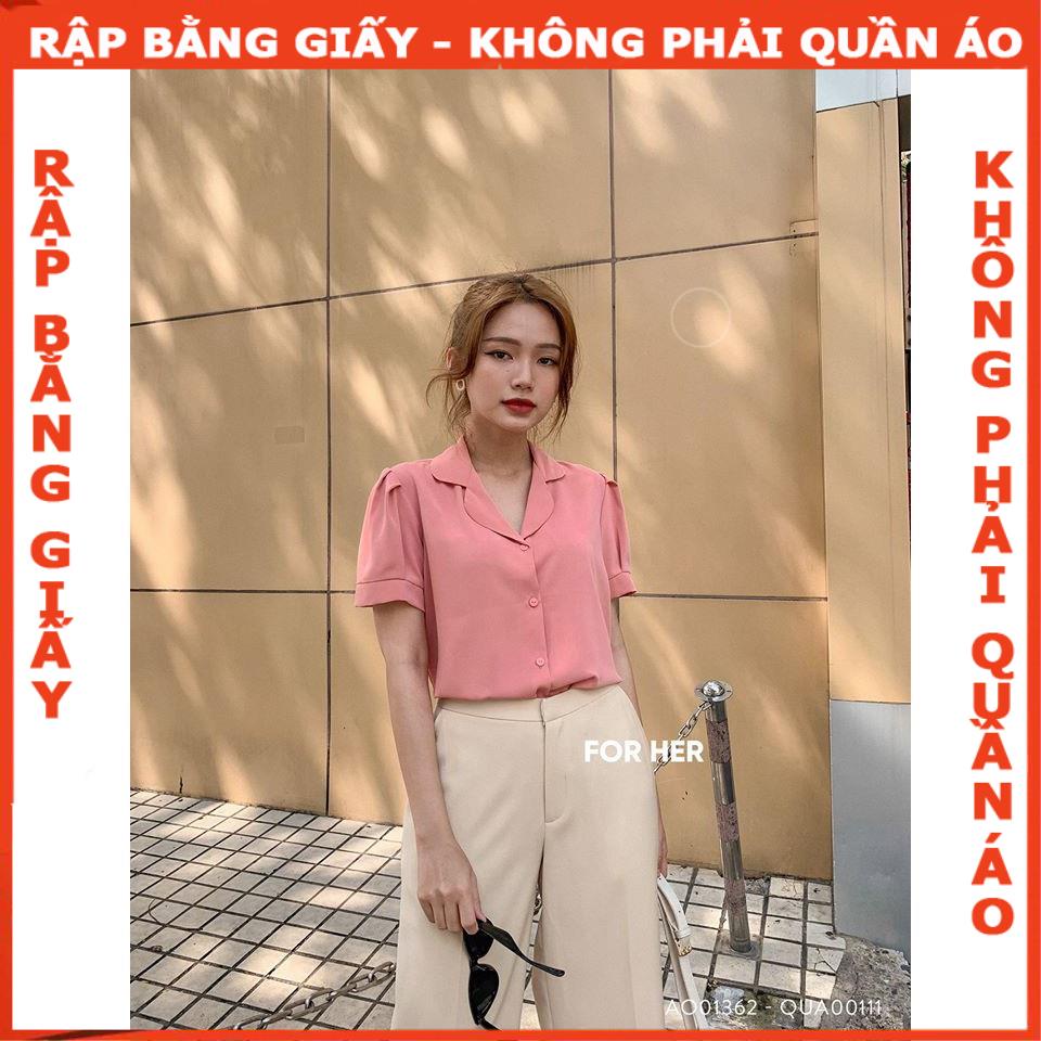 Rập áo danton cổ B- Rập giấy mã 24 -