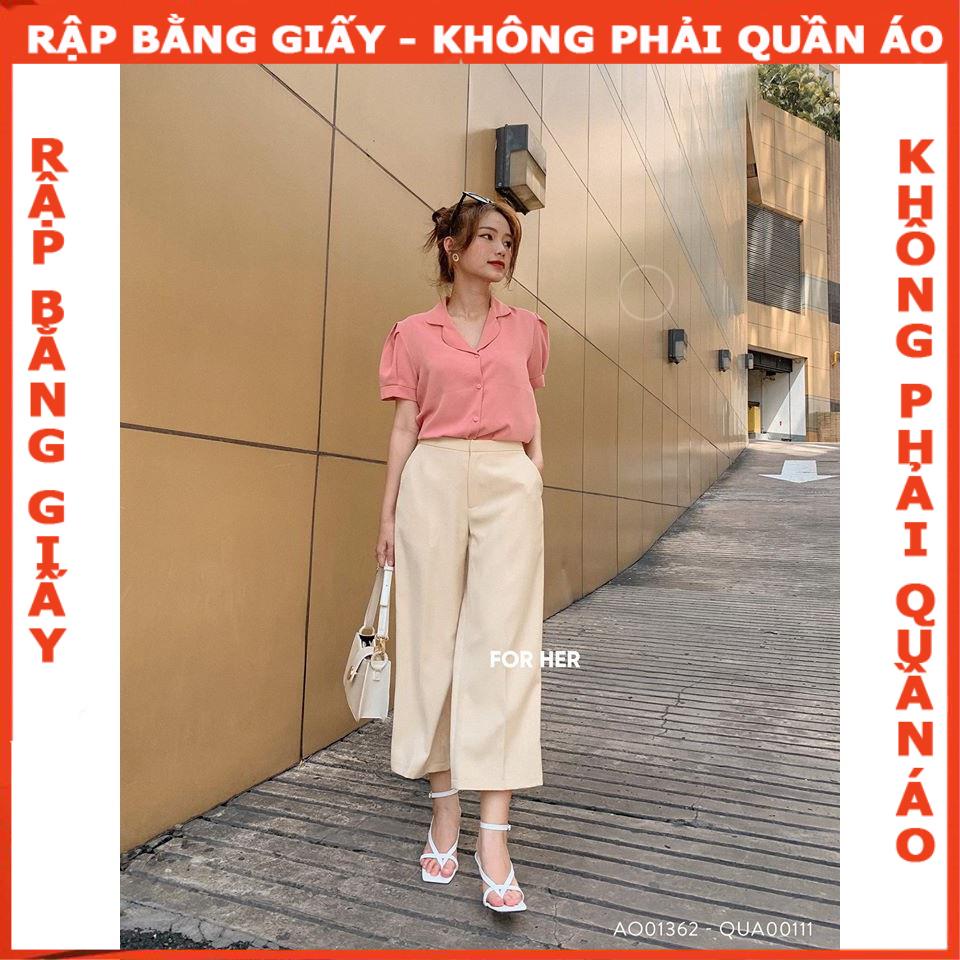 Rập áo danton cổ B- Rập giấy mã 24 -