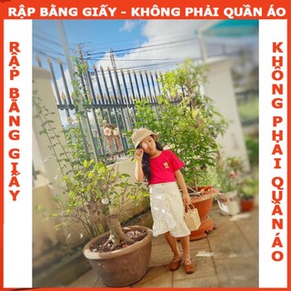 Rập giấy A0 mã R25 - Rập set chân váy và áo croptop bé gái