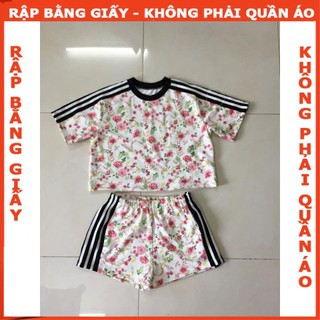 Rập giấy A0 879 - Rập may bộ