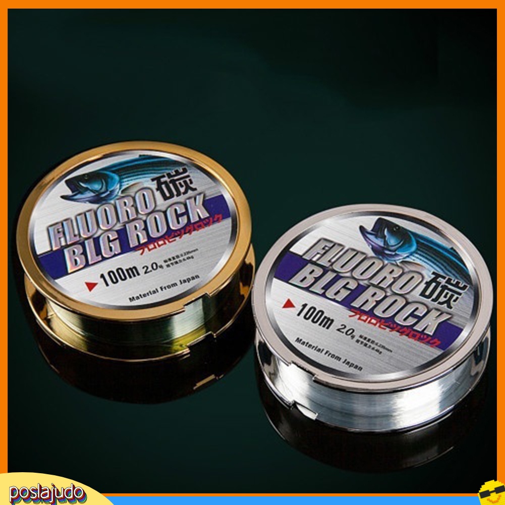 Cuộn dây câu cá 100m 0.104 - 0.552MM