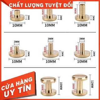 10 cái Đinh tán loại vặn ốc( Phụ kiện đồng, inox)