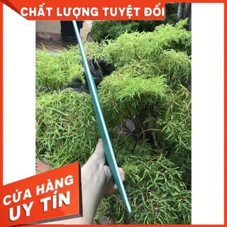 ( Tool, dụng cụ) Bảng cắt tự liền khổ A1-A2-A3