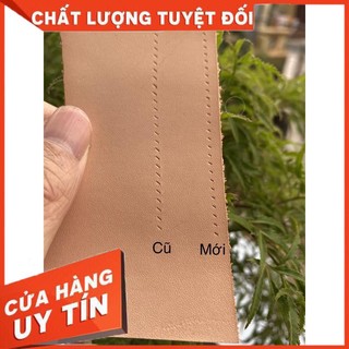 ( Tool, dụng cụ) Đục xiên bộ 3 cây(2 răng+5 răng+10 răng)