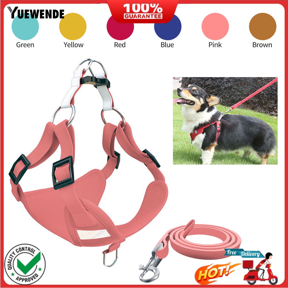 Dây Thắt An Toàn Tùy Chỉnh Cho Thú Cưng